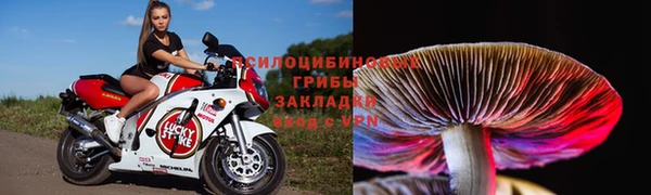 ALPHA-PVP Бугульма