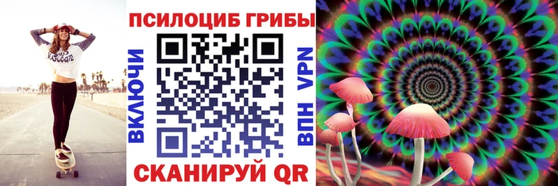 Псилоцибиновые грибы Magic Shrooms  Чита 